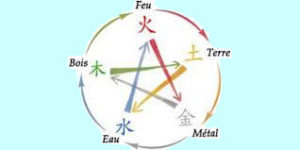 Qi Gong des 5 éléments